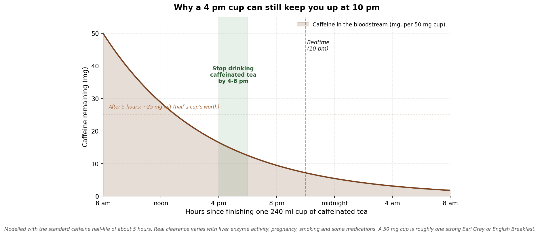 A line chart showing how caffeine in the bloodstream halves roughly every 5 hours, with a 50 mg cup consumed at 4 pm still leaving about 25 mg in the system at 10 pm bedtime.