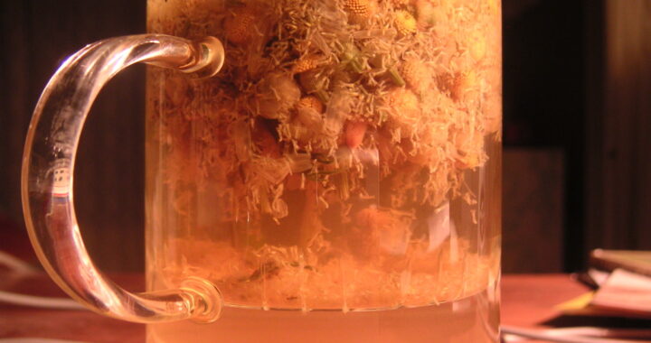 A clear glass mug of pale golden chamomile tea with whole dried chamomile flowers floating at the top, on a wooden table.