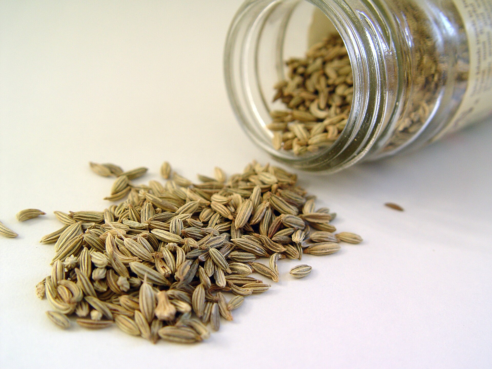 Pale green-brown fennel seeds spilling out of a small glass jar onto a white surface.