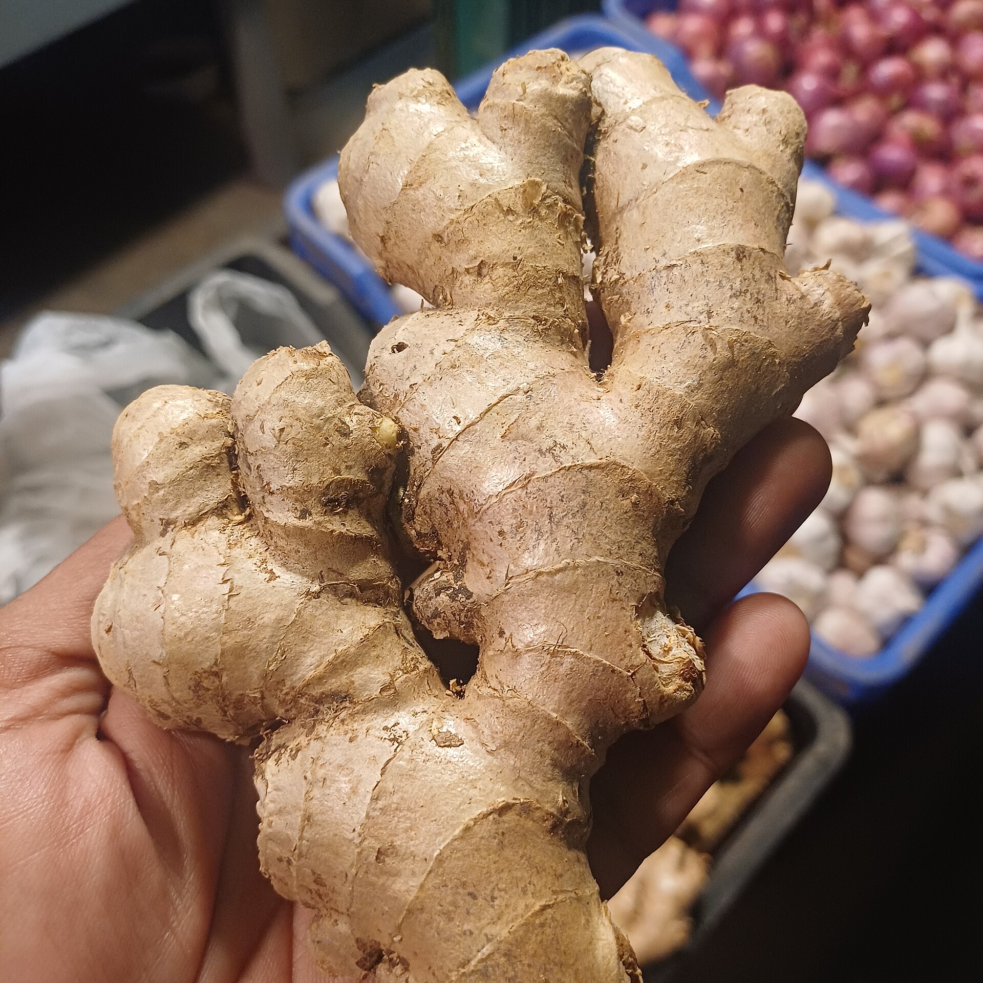 A hand holding a large knobbly piece of fresh ginger root at a market stall, with crates of shallots and garlic behind.