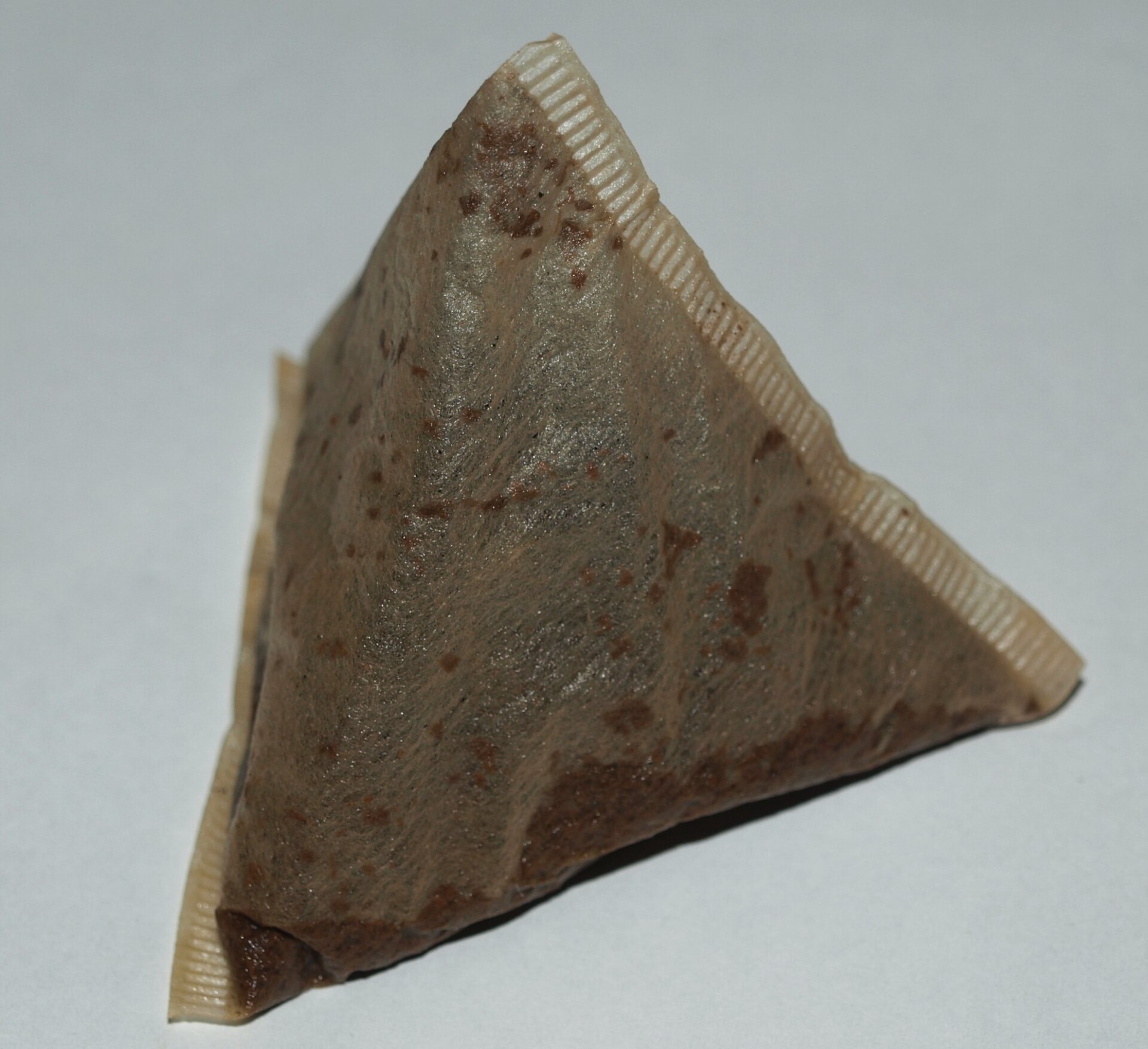 A single brown tetrahedral PG Tips pyramid tea bag on a white background.
